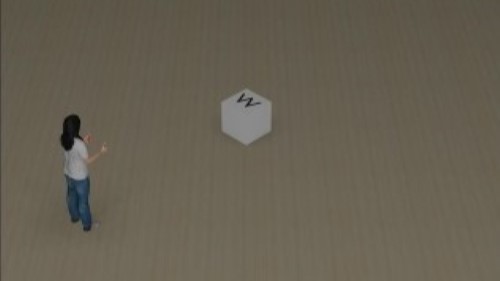Level 2 Visual: "W" 315°